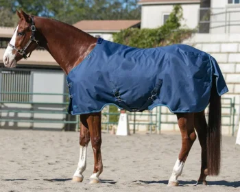 New KENSINGTON ™ Signature Medium-Weight Turnout Blanket