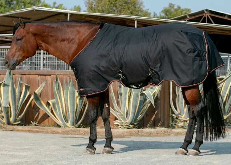 lEdjYhFd_4.webp New KENSINGTON ™ Signature Medium-Weight Turnout Blanket