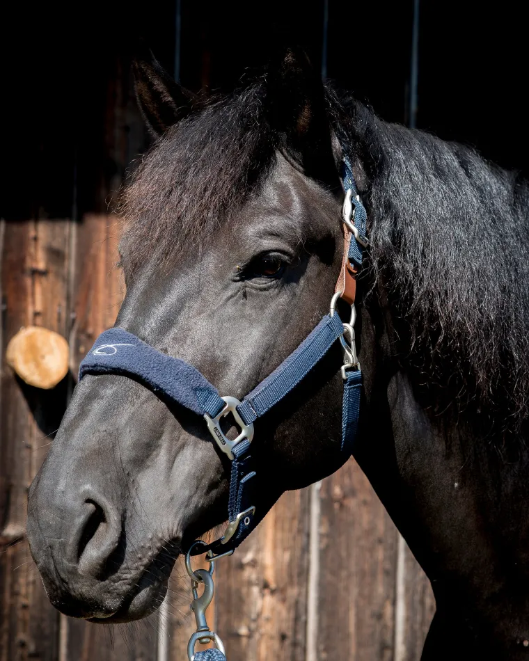 lami-cell-fleece-lined-halter-NXmfdOrU-0.webp Sale PARTRADE Lami-Cell Fleece-Lined Halter