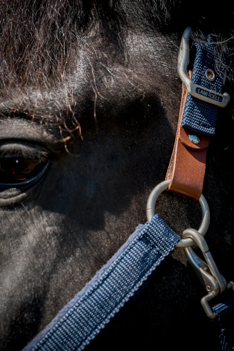 lami-cell-fleece-lined-halter-NXmfdOrU-2.webp Sale PARTRADE Lami-Cell Fleece-Lined Halter