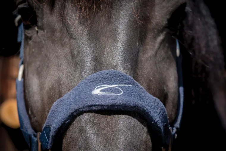 lami-cell-fleece-lined-halter-NXmfdOrU-4.webp Sale PARTRADE Lami-Cell Fleece-Lined Halter