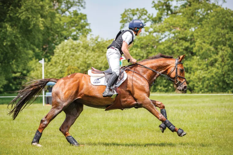 lemieux-ballistic-overreach-bo-ssSqmbNg-5.webp Outlet HORSE HEALTH TRADE LeMieux® Ballistic Overreach Boots Black