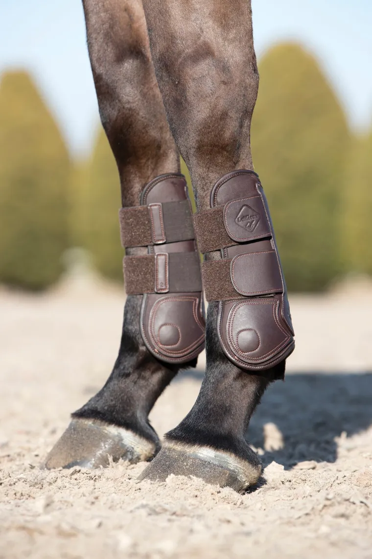 lemieux-capella-tendon-boots-IbHwuxvl-2.webp New HORSE HEALTH TRADE LeMieux® Capella Tendon Boots