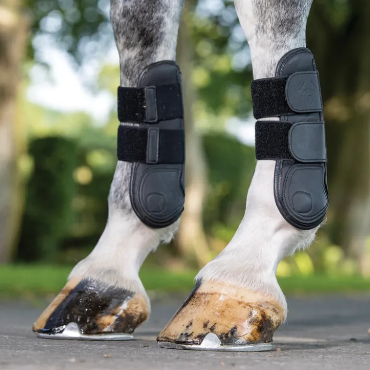 lemieux-capella-tendon-boots-IbHwuxvl-3.webp New HORSE HEALTH TRADE LeMieux® Capella Tendon Boots