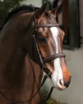 lemieux-hunter-stitched-bridle-RQUnHDVt-0.webp