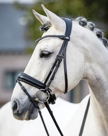 Sale HORSE HEALTH TRADE LeMieux® Kudos Dressage Flash Bridle Black