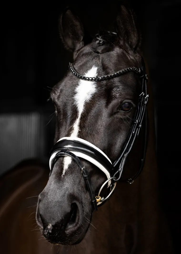 lemieux-kudos-patent-leather-d-gTSyqyum-3.webp Clearance HORSE HEALTH TRADE LeMieux® Kudos Patent Leather Dressage Bridle