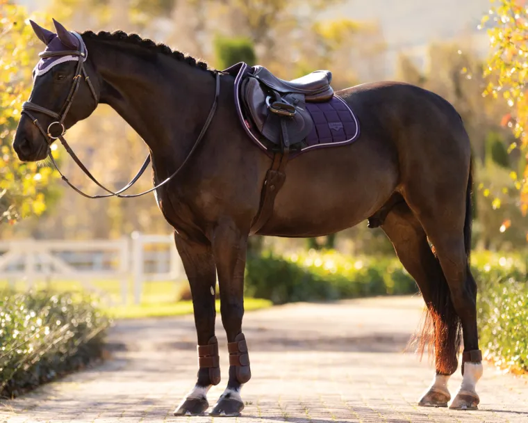 lemieux-loire-classic-close-co-TzmyddKP-4.webp Hot HORSE HEALTH TRADE LeMieux® Loire Classic Close Contact Saddle Pad