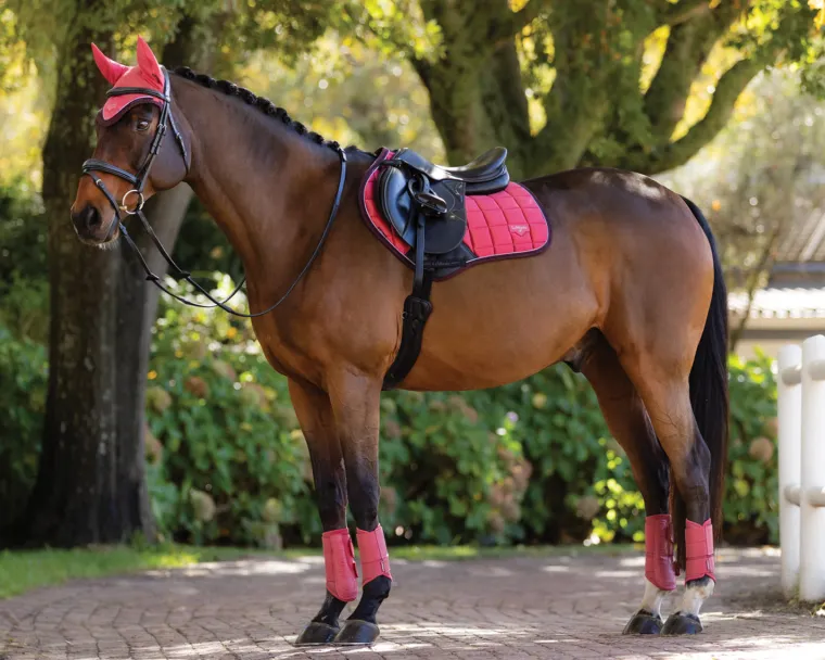 lemieux-loire-classic-close-co-TzmyddKP-6.webp Hot HORSE HEALTH TRADE LeMieux® Loire Classic Close Contact Saddle Pad