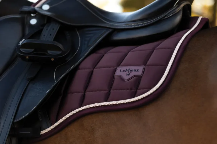 lemieux-loire-classic-gp-saddl-yVByfGfP-6.webp New HORSE HEALTH TRADE LeMieux® Loire Classic GP Saddle Pad