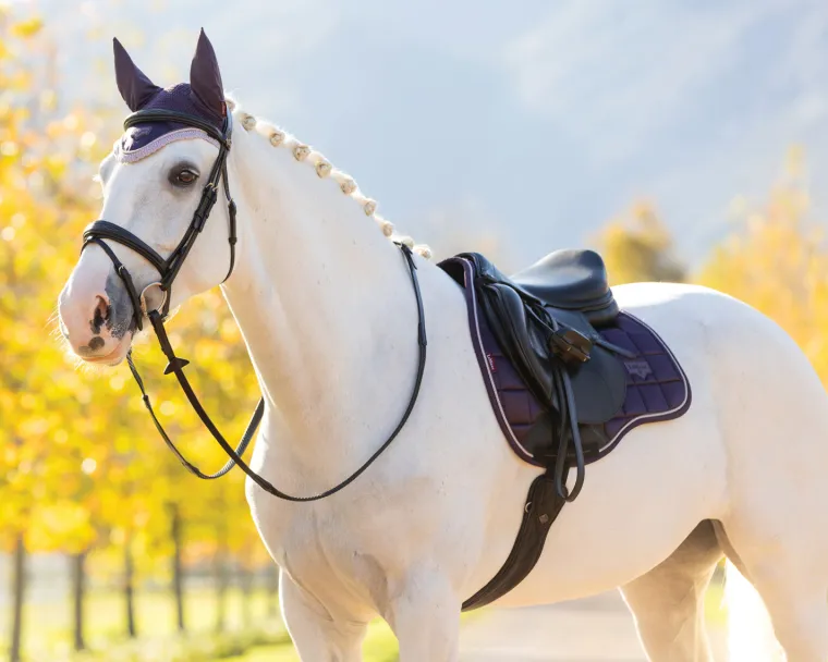 lemieux-loire-classic-gp-saddl-yVByfGfP-7.webp New HORSE HEALTH TRADE LeMieux® Loire Classic GP Saddle Pad