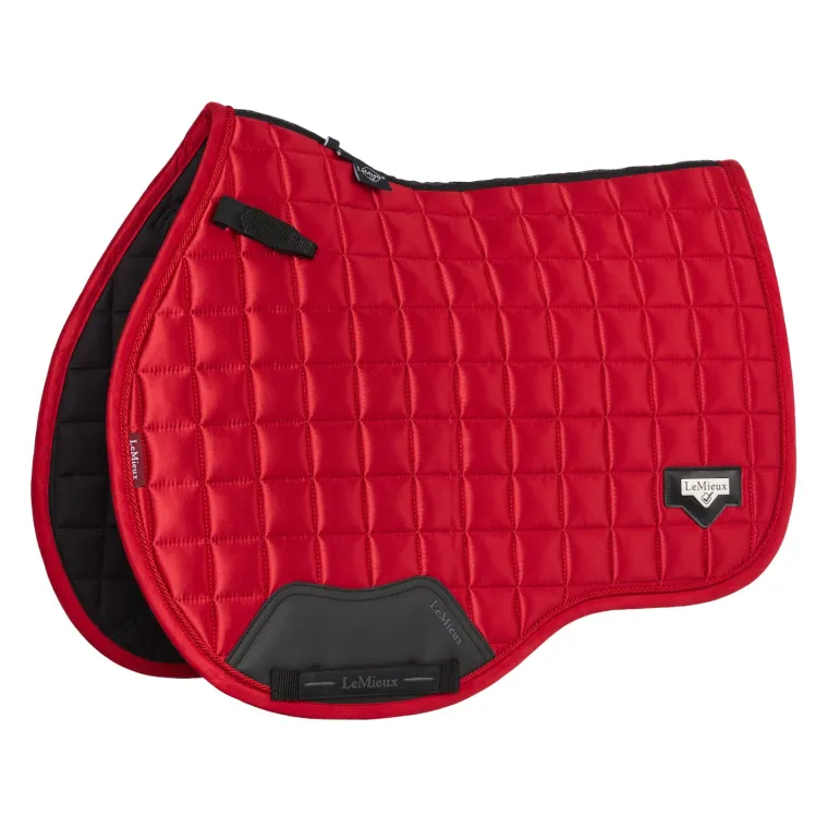 lemieux-loire-gp-saddle-pad-giuVbMHe-10.webp Best HORSE HEALTH TRADE LEMIEUX® LOIRE GP SADDLE PAD