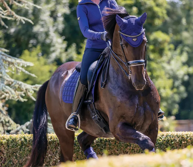 lemieux-loire-satin-fly-bonnet-VNPeQwVB-18.webp New HORSE HEALTH TRADE LeMieux® Loire Satin Fly Bonnet