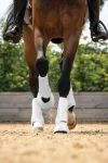 lemieux-motionflex-dressage-bo-VsEaEGqF-0.webp