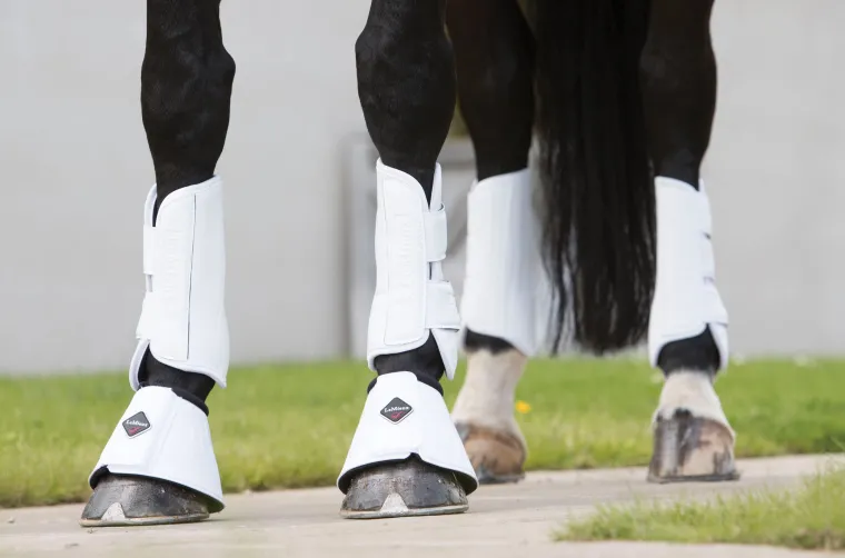 lemieux-pro-schooling-boots-WeKGdeDI-3.webp New HORSE HEALTH TRADE LeMieux® Pro Schooling Boots