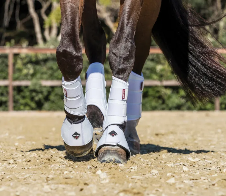 lemieux-proshell-overreach-boo-YjbhdLhS-4.webp New HORSE HEALTH TRADE LeMieux® ProShell Overreach Boots