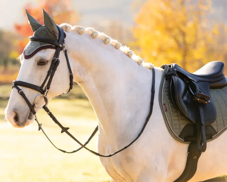 lemieux-suede-general-purpose-jLOAoyep-3.webp Fashion HORSE HEALTH TRADE Lemieux® Suede General Purpose Saddle Pad