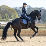 lemieux-ultra-mesh-dressage-pa-qDqaTghq-0.webp