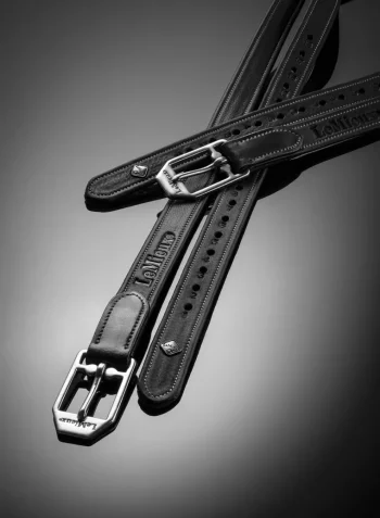 Best HORSE HEALTH TRADE LeMieux® Vector Stirrup Leathers