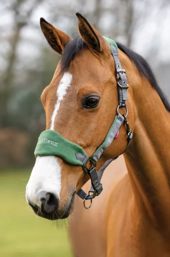 Outlet HORSE HEALTH TRADE LeMieux® Vogue Halter & Rope Lead Set