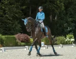 lemieuxsuede-dressage-square-p-mKWrmRfX-0.webp