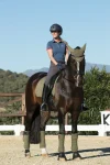 lemieuxsuede-dressage-square-p-mKWrmRfX-0.webp