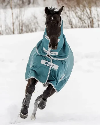 Sale TOKLAT ORIGINALS Bucas Atlantic 200 Gram Turnout Blanket