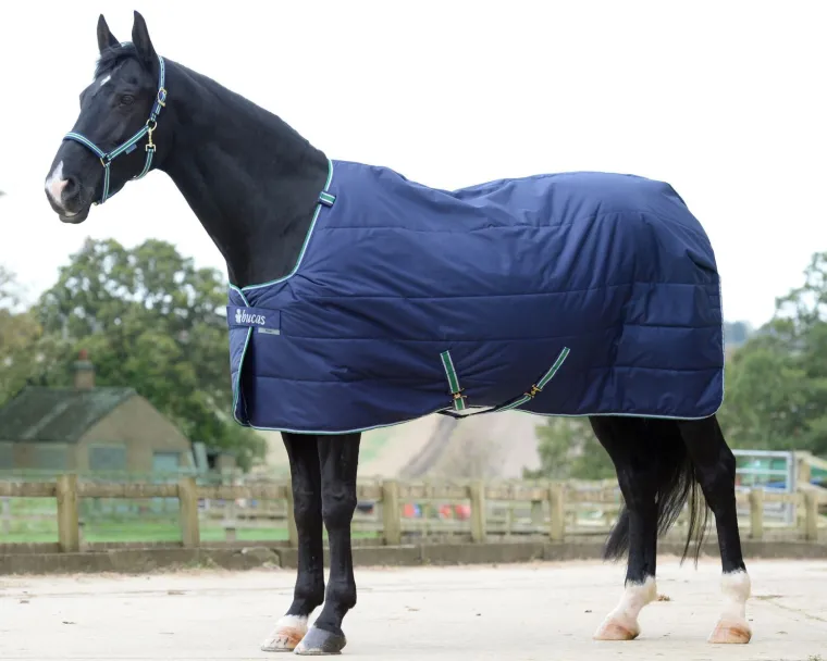ljiBbrvJ_0.webp Outlet TOKLAT ORIGINALS Bucas Quilt Heavyweight Stable Blanket with Silky Lining - 300 grams Navy