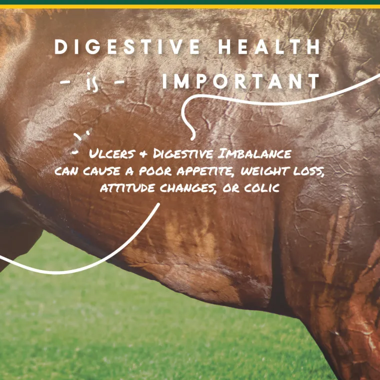 lnhzDPrv_2.webp Hot ANIMAL HEALTH INT Manna Pro® Corta-Flx® U-Gard™ Pellets, 4 Pounds