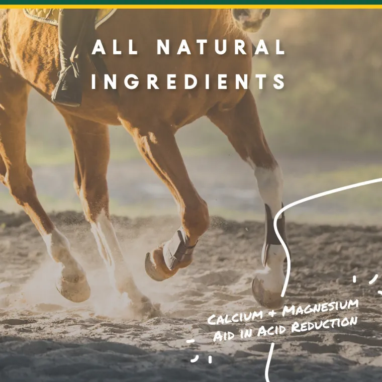 lnhzDPrv_4.webp Hot ANIMAL HEALTH INT Manna Pro® Corta-Flx® U-Gard™ Pellets, 4 Pounds