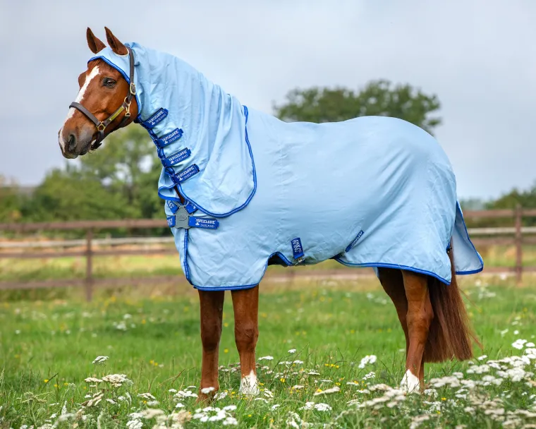 mHzoZhpC_0.webp Sale HORSEWARE ® Ireland Amigo® Ripstop Hoody Blanket Azure/Strong Blue/Silver