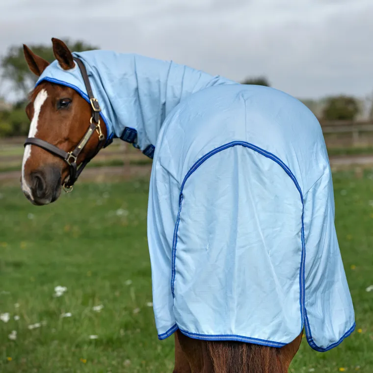 mHzoZhpC_2.webp Sale HORSEWARE ® Ireland Amigo® Ripstop Hoody Blanket Azure/Strong Blue/Silver