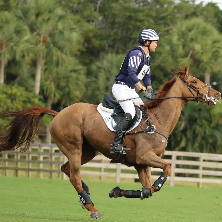 majyk-equipe-boyd-martin-event-QlraVzMe-3.webp Discount MAJYK EQUIPE ® Boyd Martin Eventing Front & Hind Boot 4-Pack