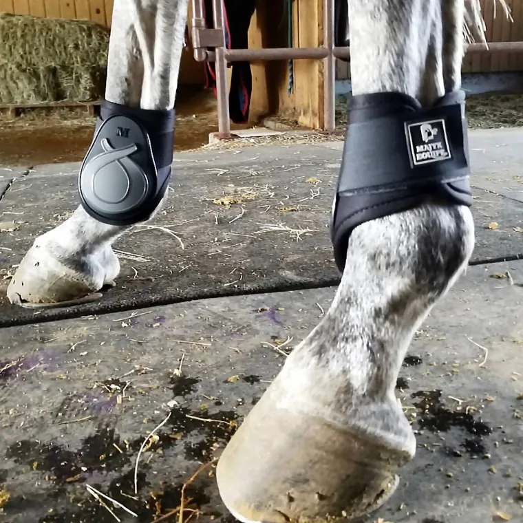 majyk-equipe-infinity-fetlock-byJiGLNv-3.webp New MAJYK EQUIPE ® Infinity Fetlock Boots With Arti-Lage™ Impact Technology