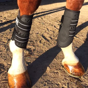 Best MAJYK EQUIPE ® Sport/Dressage Front Boots With Arti-Lage™ Impact Technology