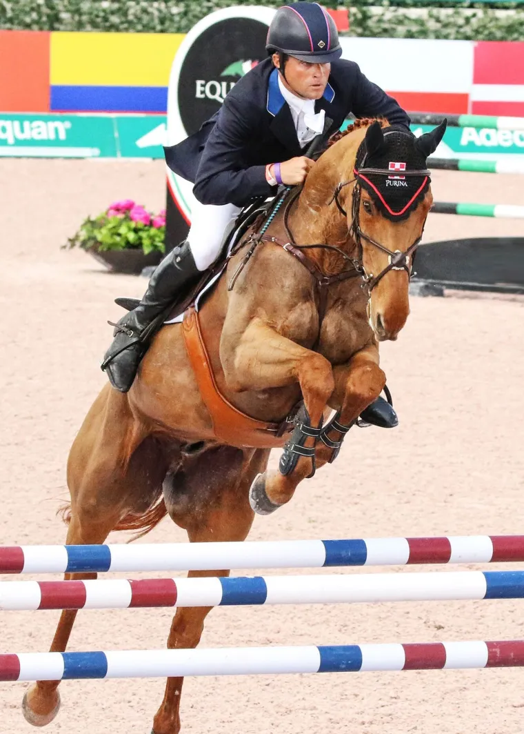 majyk-equipe-stadium-front-jum-riUoWsOT-4.webp Online MAJYK EQUIPE ® Stadium Front Jump Boots With Arti-Lage™ Impact Technology