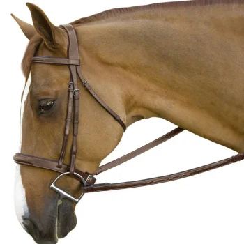 Hot INT RIDING HELMET Marcel Toulouse Brunello Handy Hunter Bridle Chocolate