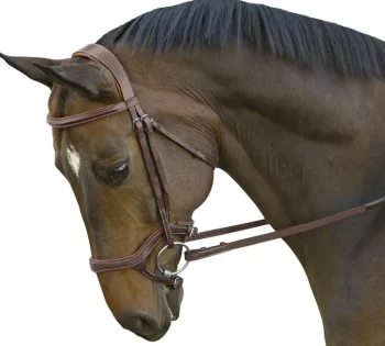 Online INT RIDING HELMET Marcel Toulouse Hybrid Jumper Bridle Chocolate