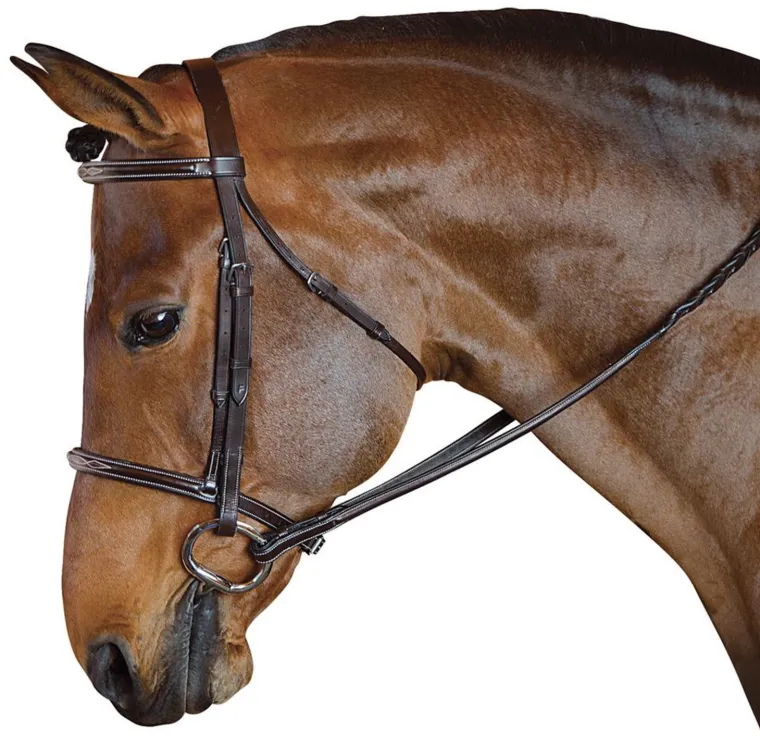 marcel-toulouse-standard-hunte-MKKZTJkF-0.webp Outlet INT RIDING HELMET Marcel Toulouse Standard Hunter Bridle Chocolate