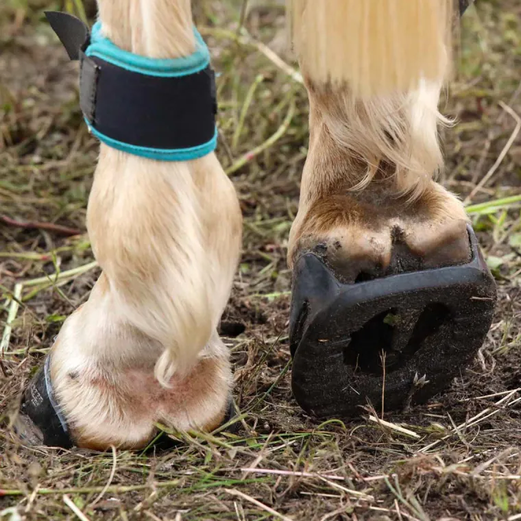 mktHCuiT_10.webp Outlet INTREPID INTL Scoot Boot Skins Glue-On - 2 Pack