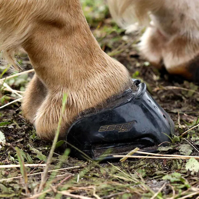 mktHCuiT_9.webp Outlet INTREPID INTL Scoot Boot Skins Glue-On - 2 Pack