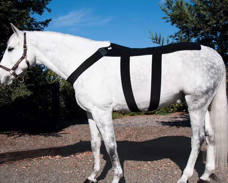 mmuyGRxr_0.webp Best MACKINNON Ice Horse® Pony Back Blanket