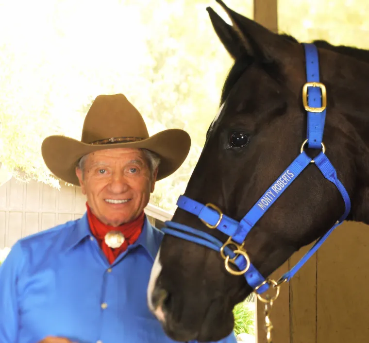monty-roberts-dually-schooling-XxhCCUyp-3.webp Clearance MONTY N PAT ROBERTS Monty Roberts Dually™ Schooling Halter