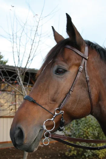 New TOKLAT ORIGINALS Myler® 3-Ring Combo Low Port Comfort Snaffle MB 04