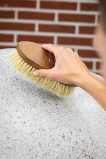 Outlet HORSE HEALTH TRADE LeMieux® Artisan Soft Finishing Brush Brown