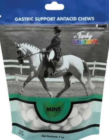 Outlet INTREPID INTL Funky Unicorn Gastric Support Antacid Chews - 7 oz. Mint