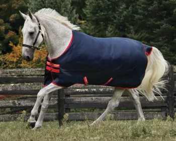 Discount HORSEWARE ® Ireland Exclusive 600D 0 Gram Ripstop Turnout Sheet Navy/Red