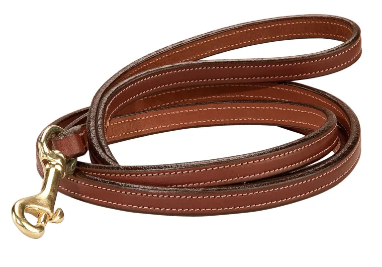 ongjZXbF_1.webp Sale TORY LEATHER Full-Stitched Dog Leash