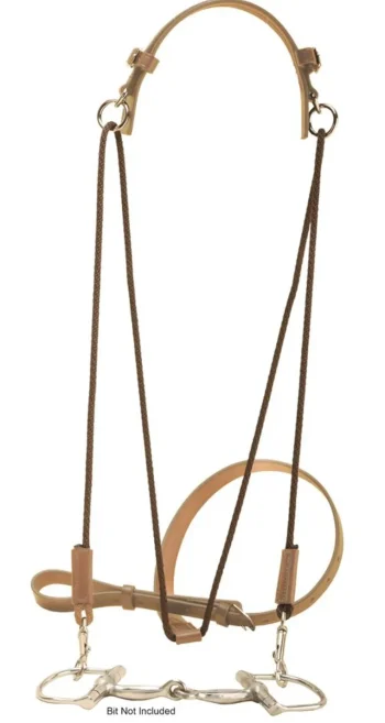 Best TORY LEATHER Company Horse Size Chambon Havana