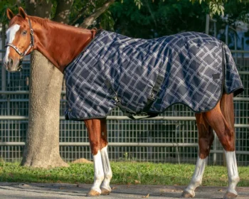 Outlet KENSINGTON ™ Pony Signature Heavyweight Turnout Blanket
